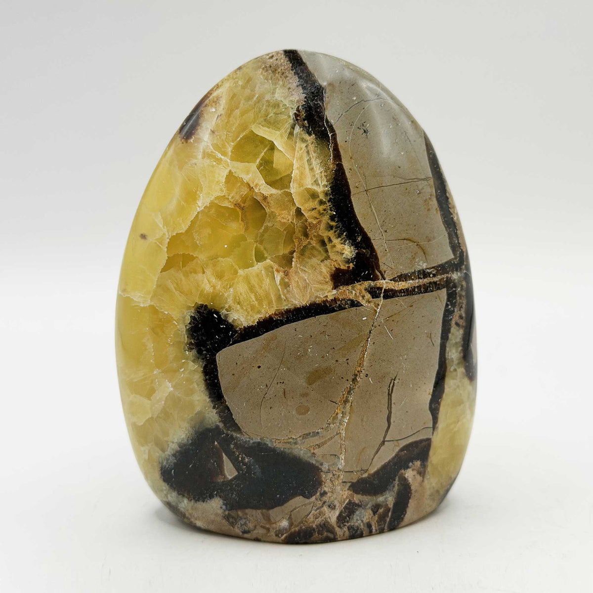 Septarian Crystal Freeform - Gem Avenue Retail