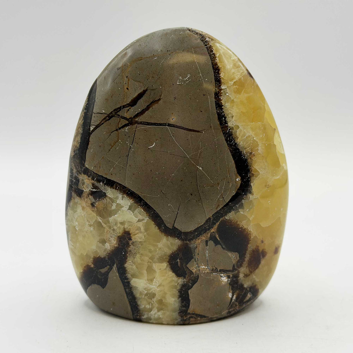 Septarian Crystal Freeform - Gem Avenue Retail