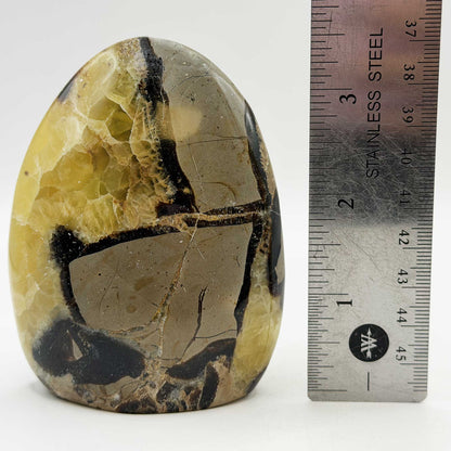 Septarian Crystal Freeform - Gem Avenue Retail