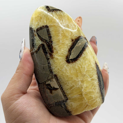 Septarian Crystal Freeform - Gem Avenue Retail