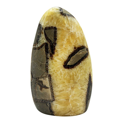 Septarian Crystal Freeform - Gem Avenue Retail