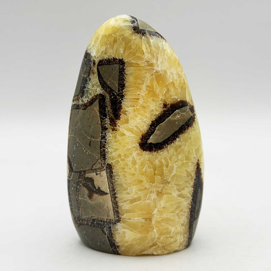 Septarian Crystal Freeform - Gem Avenue Retail