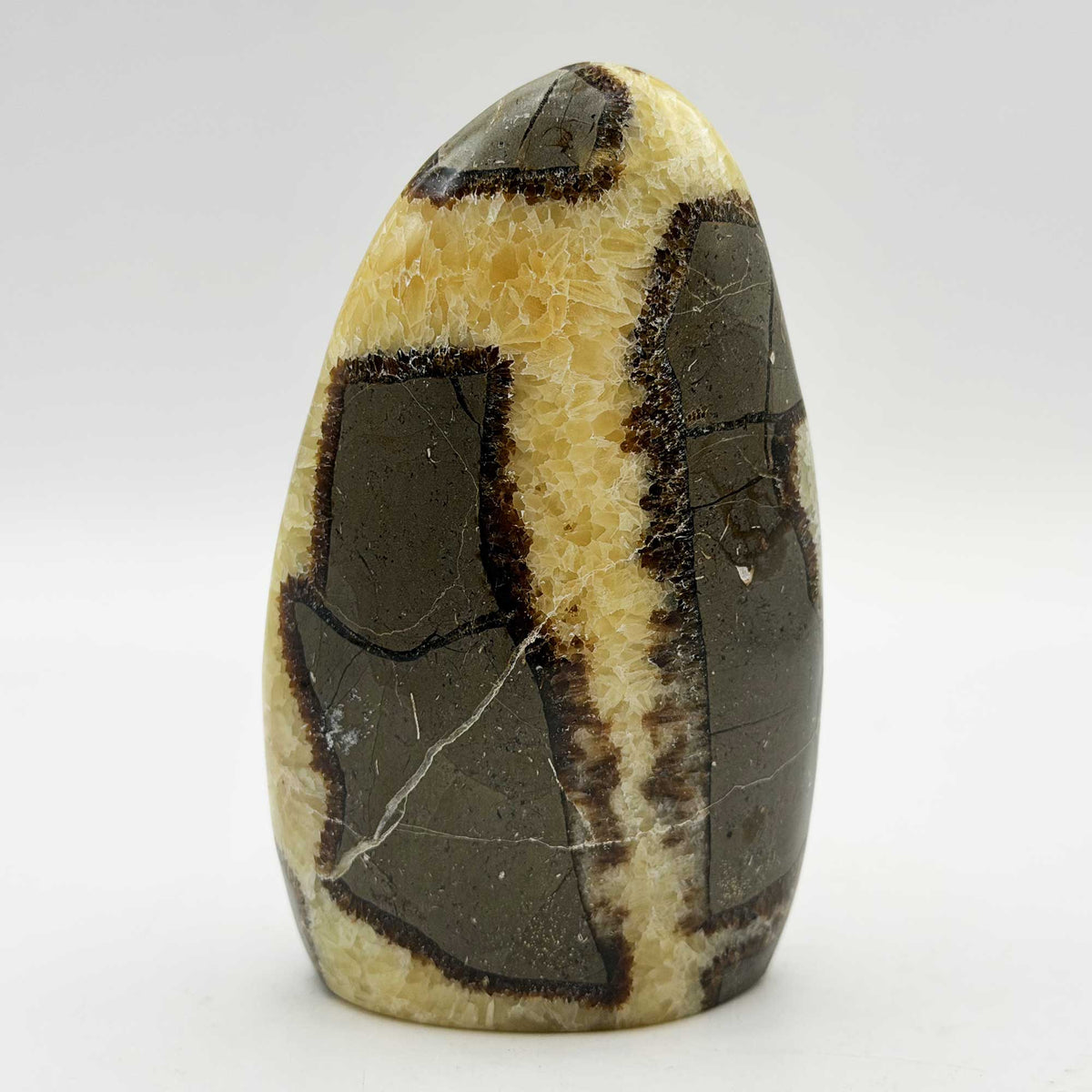 Septarian Crystal Freeform - Gem Avenue Retail