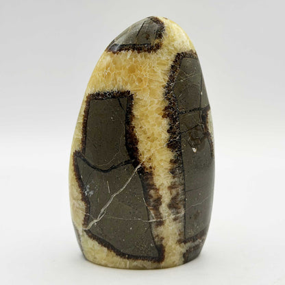 Septarian Crystal Freeform - Gem Avenue Retail