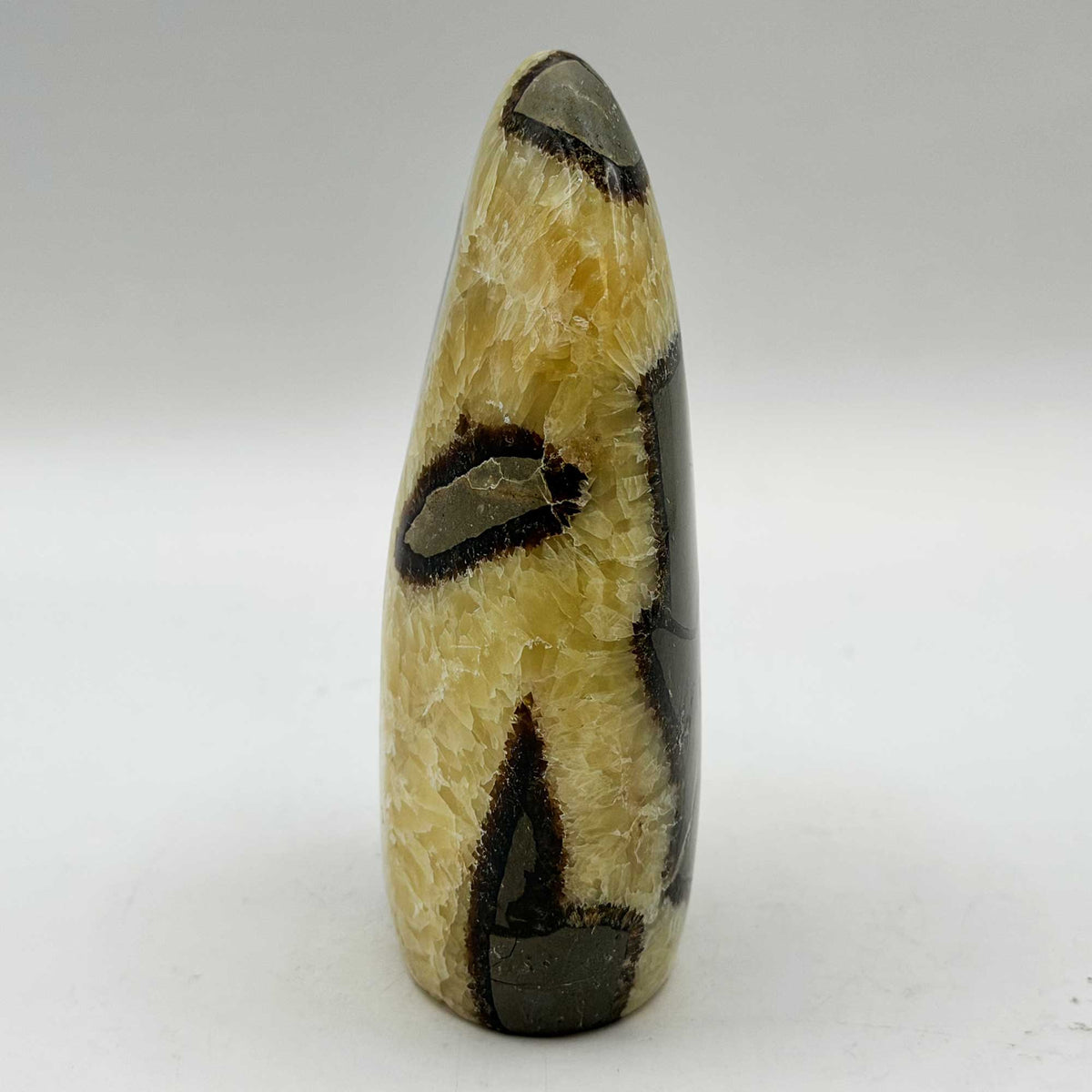 Septarian Crystal Freeform - Gem Avenue Retail