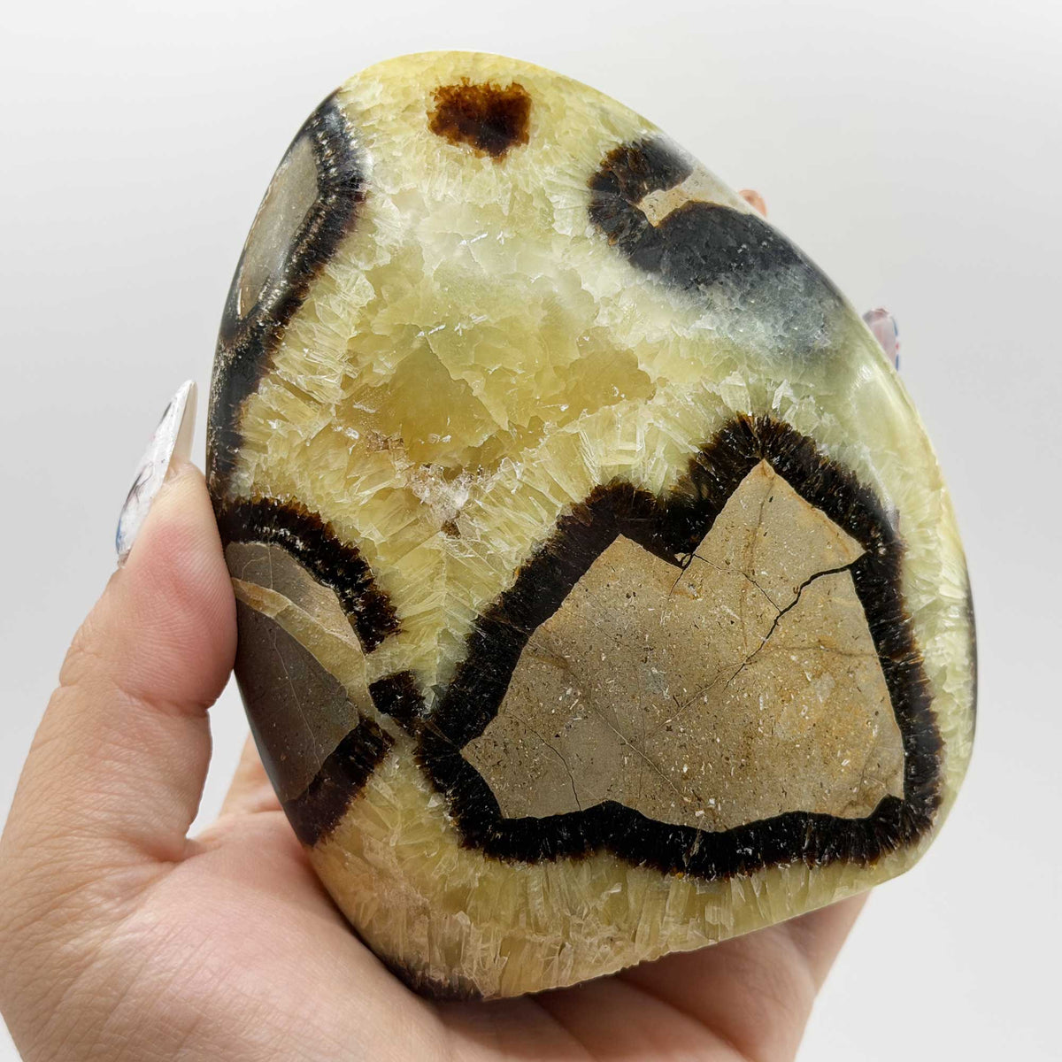 Septarian Crystal Freeform - Gem Avenue Retail