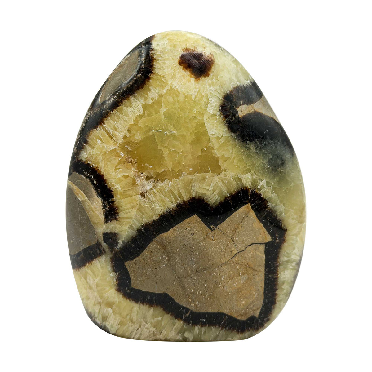 Septarian Crystal Freeform - Gem Avenue Retail