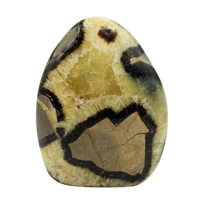Septarian Crystal Freeform - Gem Avenue Retail