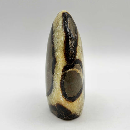 Septarian Crystal Freeform - Gem Avenue Retail