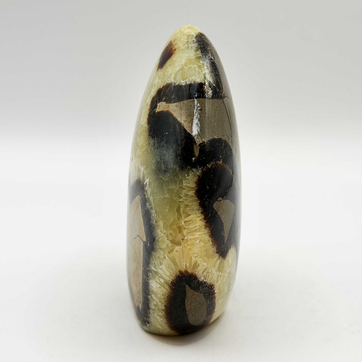 Septarian Crystal Freeform - Gem Avenue Retail