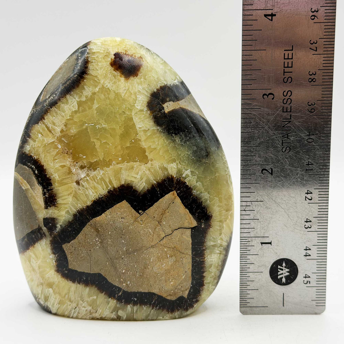 Septarian Crystal Freeform - Gem Avenue Retail