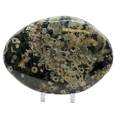 Natural Sea Jasper Freeform Crystal 5" Gemstone - Gem Avenue Retail