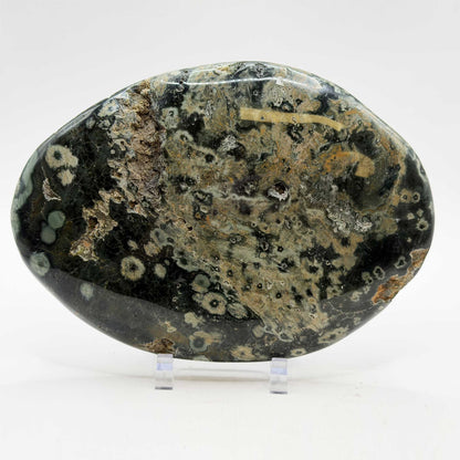 Natural Sea Jasper Freeform Crystal 5" Gemstone - Gem Avenue Retail