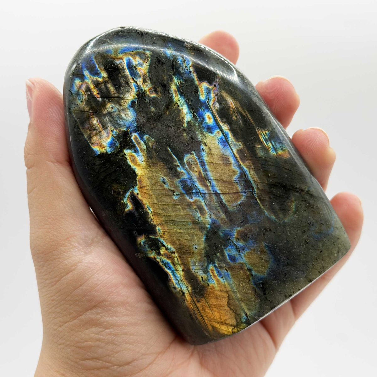 Labradorite Crystal Freeform - Gem Avenue Retail
