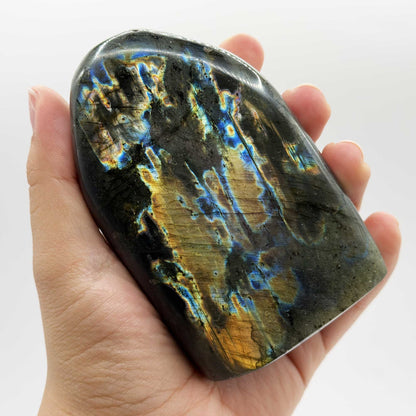Labradorite Crystal Freeform - Gem Avenue Retail