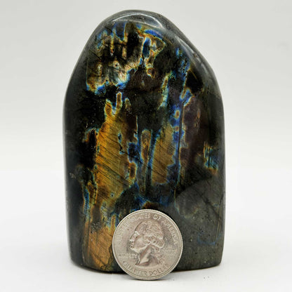 Labradorite Freeform 3.5" Natural Blue Flash Crystal Gemstone