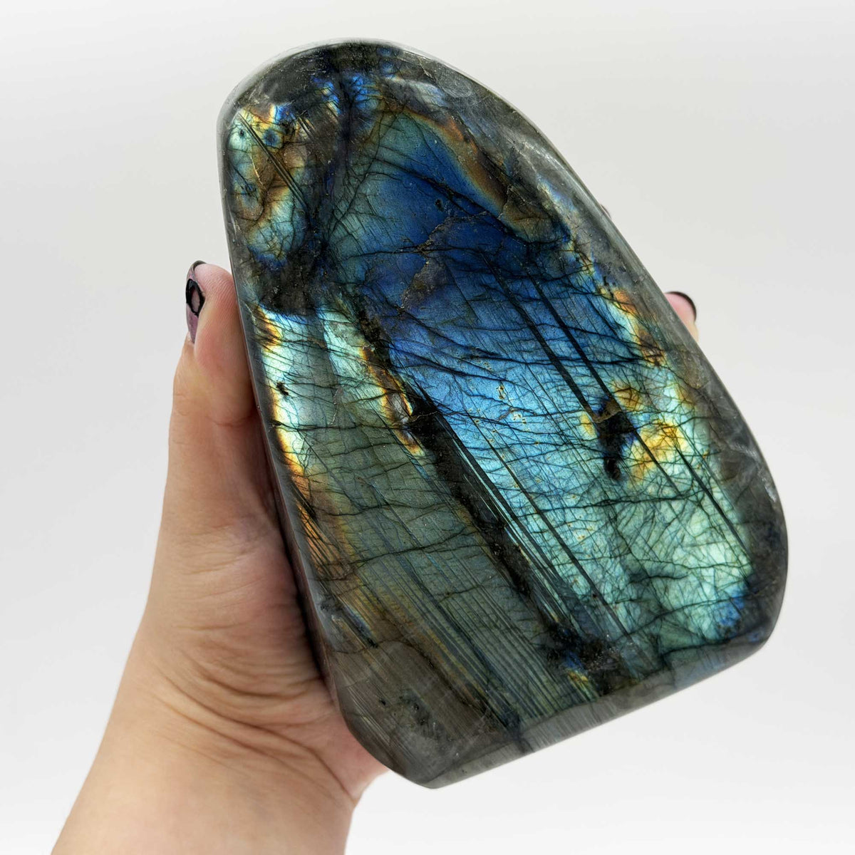 Labradorite Polished Freeform 5" Tall with Blue and Green Flash