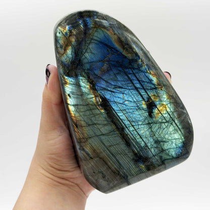 Labradorite Polished Freeform 5" Tall with Blue and Green Flash