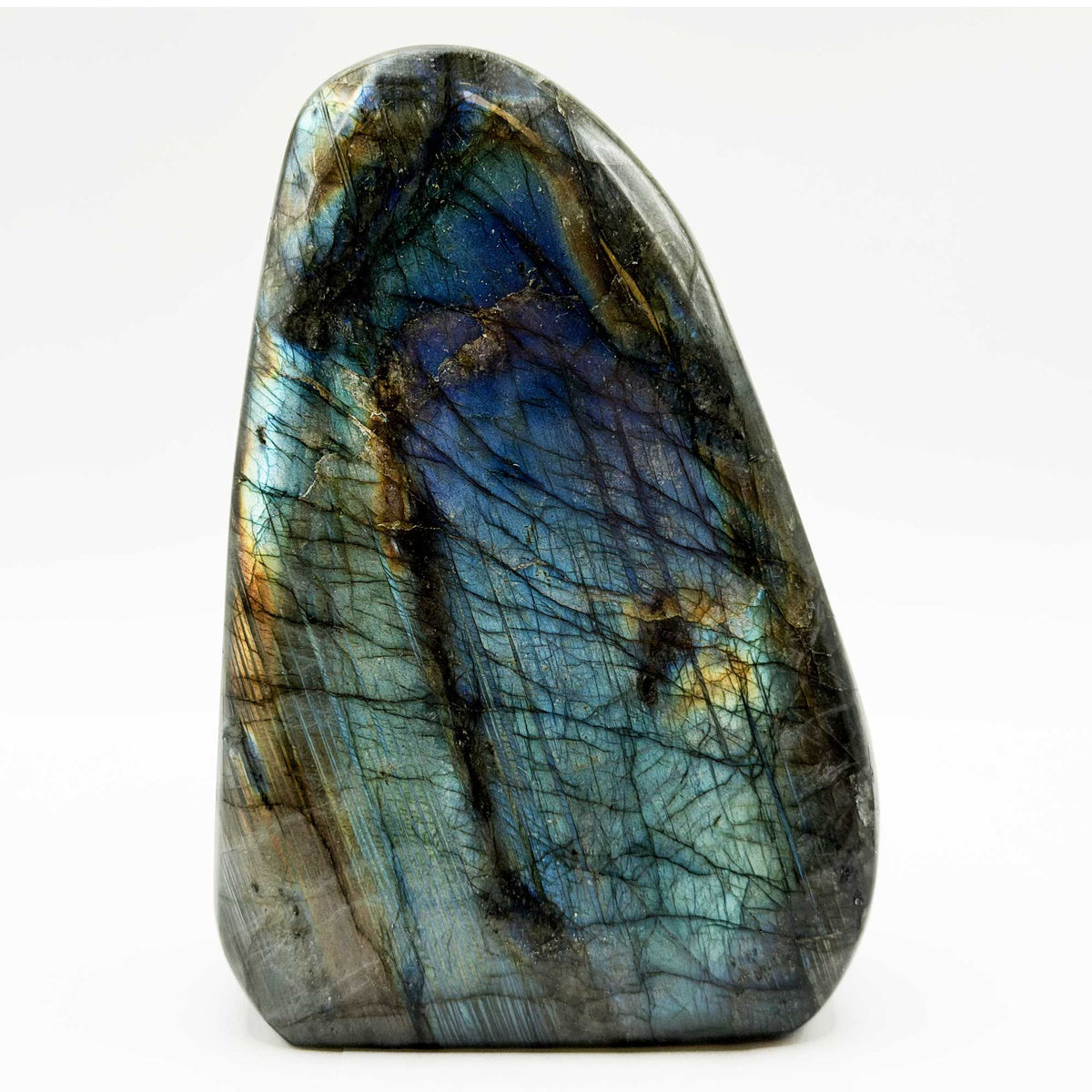 Labradorite Polished Freeform 5" Tall with Blue and Green Flash