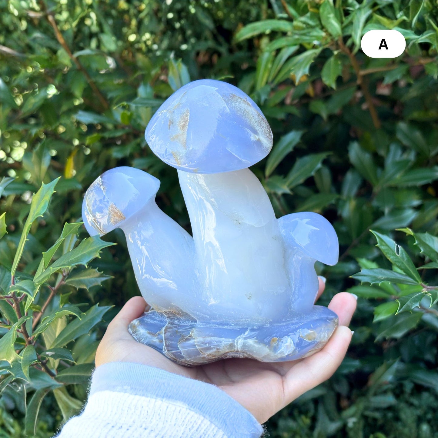 Natural Blue Chalcedony Crystal Mushroom Cluster Carving for Energy Healing, Meditation, Good Luck & Home Decor - RSH320