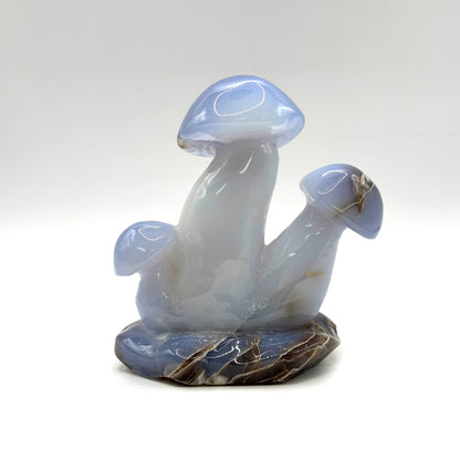 Natural Blue Chalcedony Crystal Mushroom Cluster Carving for Energy Healing, Meditation, Good Luck & Home Decor - RSH320