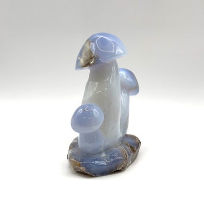 Natural Blue Chalcedony Crystal Mushroom Cluster Carving for Energy Healing, Meditation, Good Luck & Home Decor - RSH320