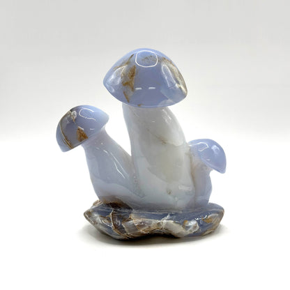 Natural Blue Chalcedony Crystal Mushroom Cluster Carving for Energy Healing, Meditation, Good Luck & Home Decor - RSH320