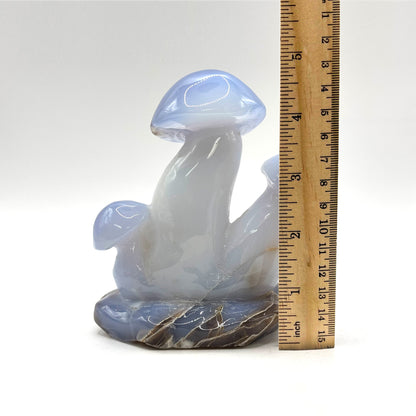Natural Blue Chalcedony Crystal Mushroom Cluster Carving for Energy Healing, Meditation, Good Luck & Home Decor - RSH320