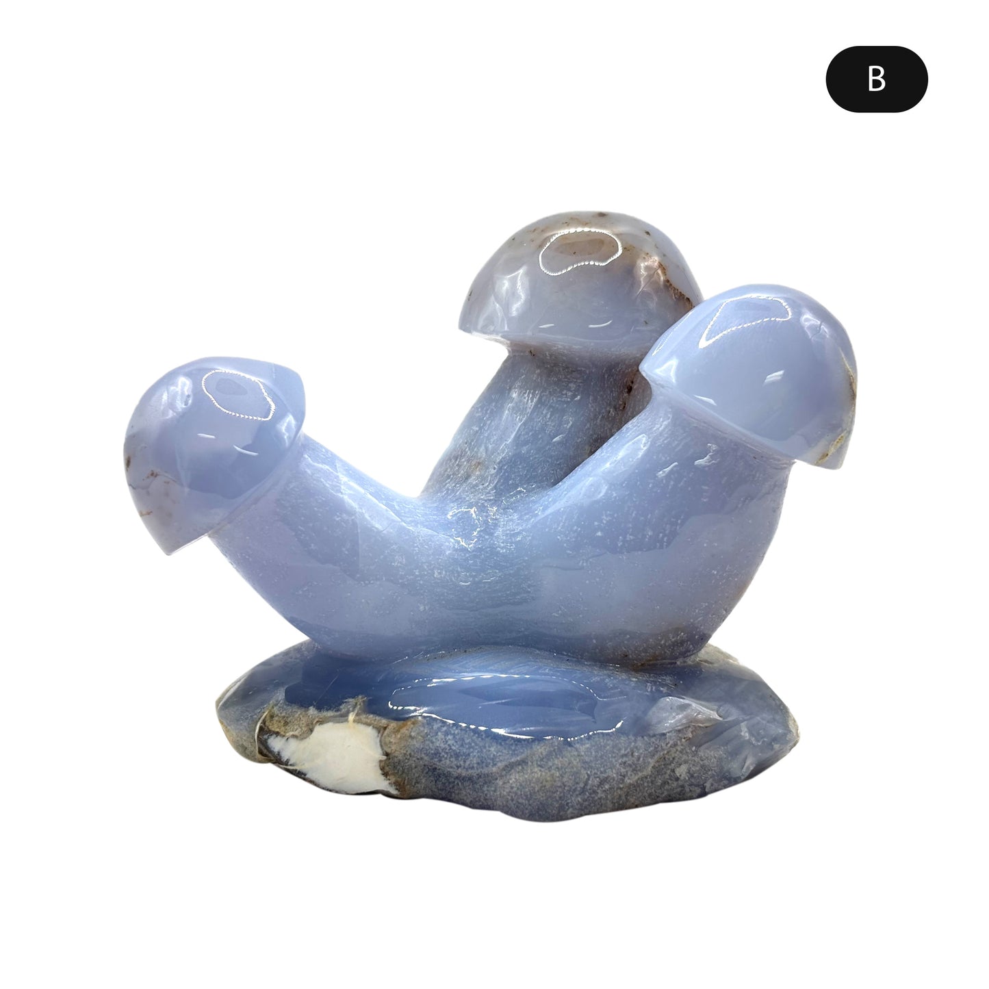 Natural Blue Chalcedony Crystal Mushroom Cluster Carving for Energy Healing, Meditation, Good Luck & Home Decor - RSH320