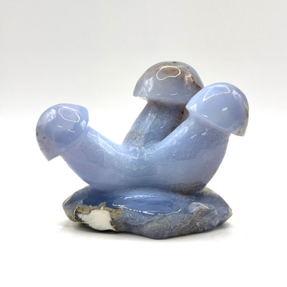 Natural Blue Chalcedony Crystal Mushroom Cluster Carving for Energy Healing, Meditation, Good Luck & Home Decor - RSH320