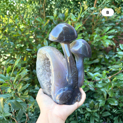 Natural Brown Agate Crystal Mushroom Cluster Carving for Energy Healing, Meditation, Good Luck & Home Decor - RSH321