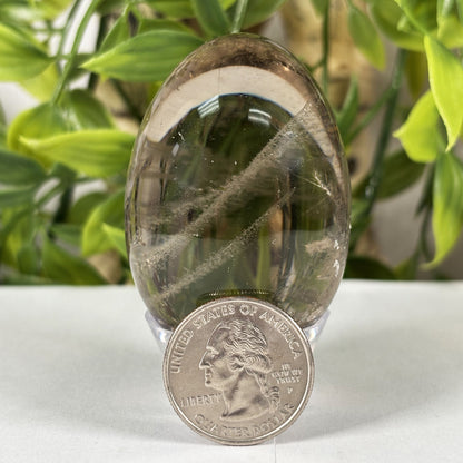 Smoky Quartz Crystal Egg - Gem Avenue Retail