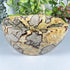 Natural Septarian Stone Bowl 7.25" Handcrafted Polished Crystal Bowl from Madagascar for Home Decor