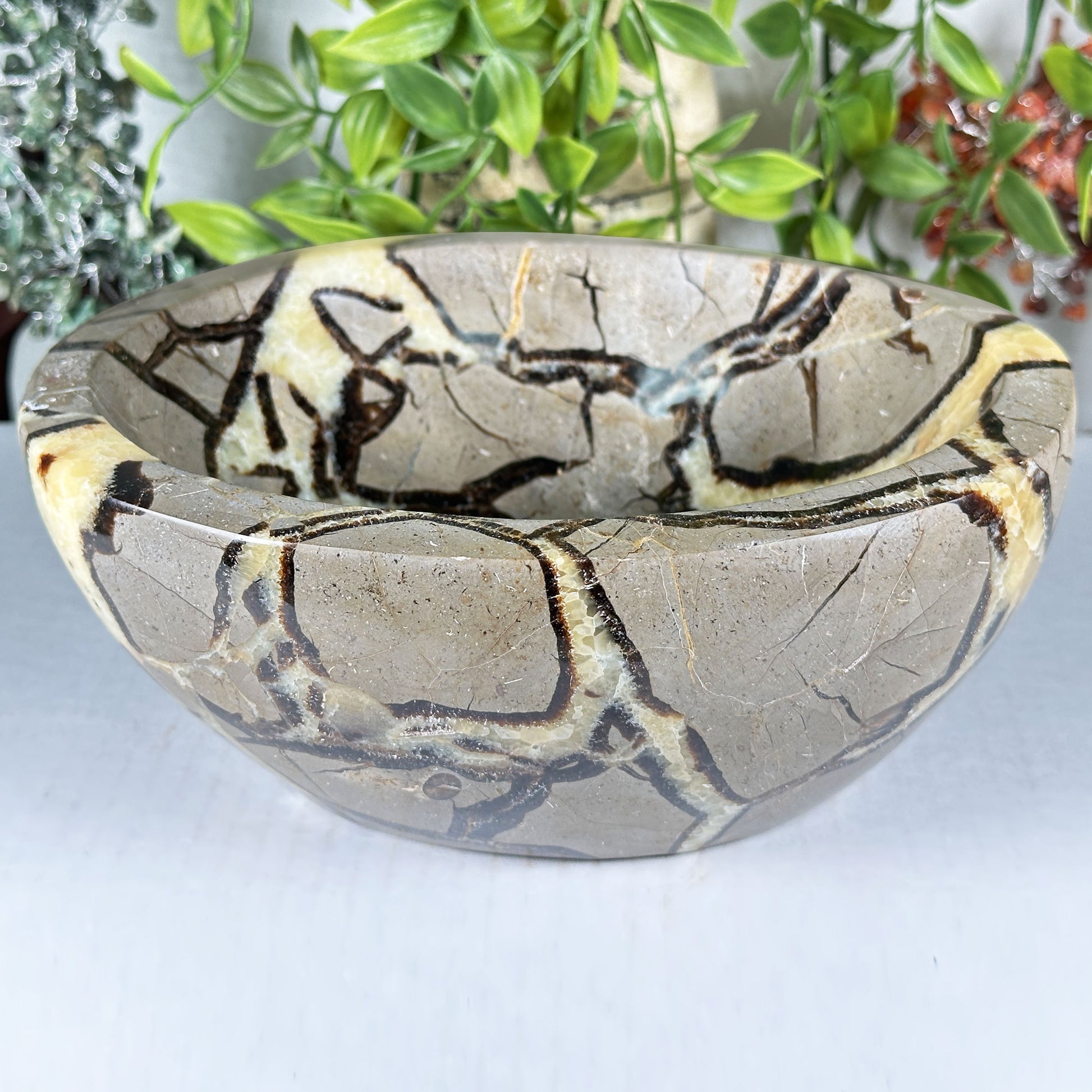 Septarian Crystal Gemstone Bowl - Gem Avenue Retail
