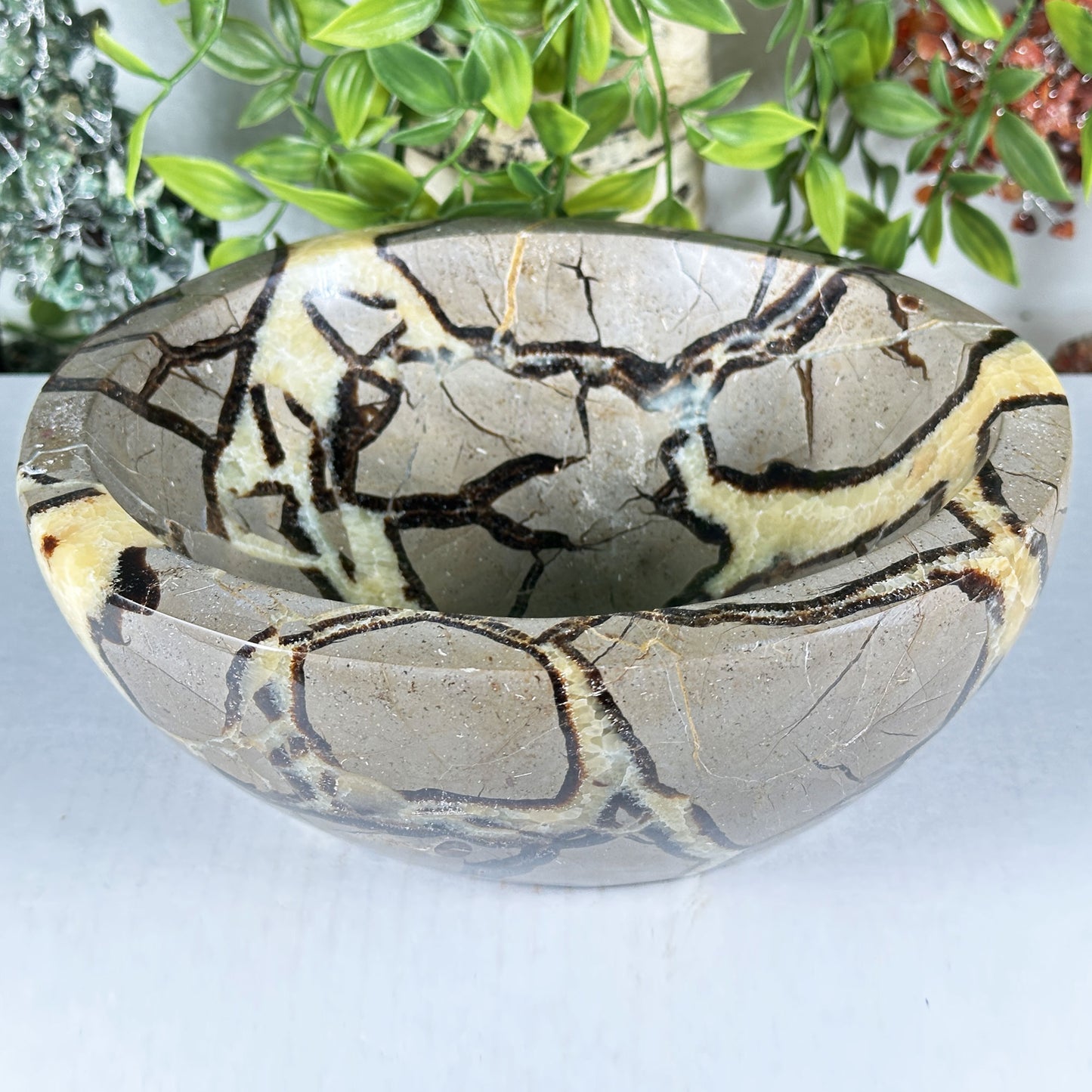 Septarian Crystal Gemstone Bowl - Gem Avenue Retail