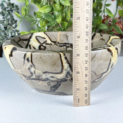 Septarian Crystal Gemstone Bowl - Gem Avenue Retail