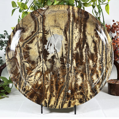 Picture Jasper Crystal Plate - Gem Avenue Retail
