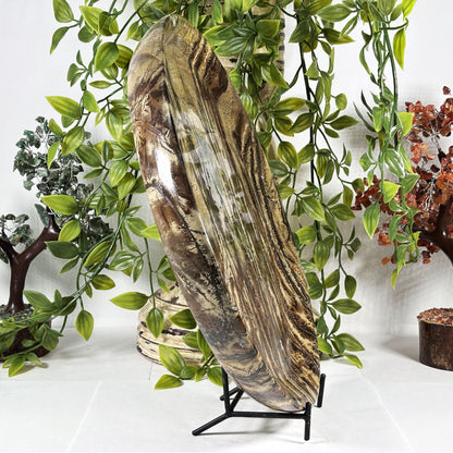 Picture Jasper Crystal Plate - Gem Avenue Retail