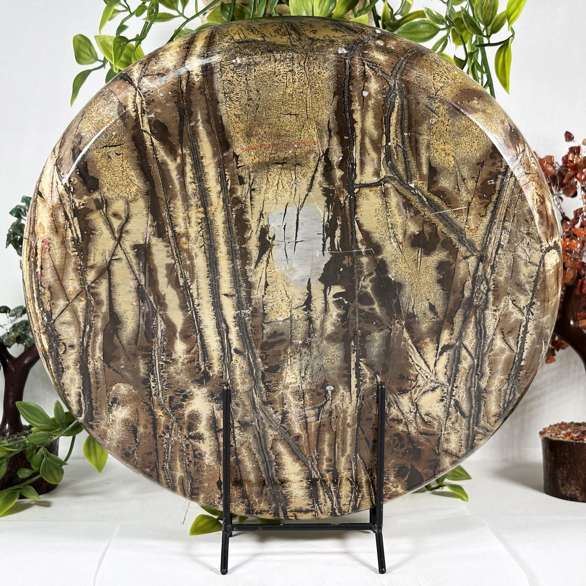 Picture Jasper Crystal Plate - Gem Avenue Retail