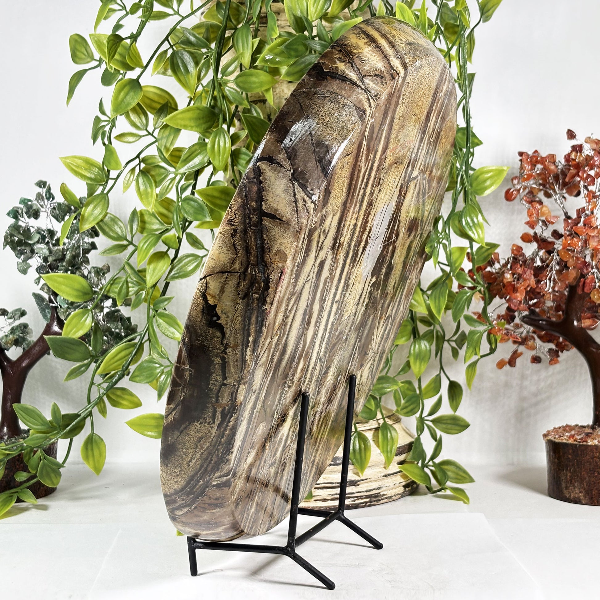 Picture Jasper Crystal Plate - Gem Avenue Retail