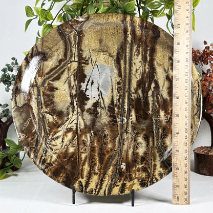 Picture Jasper Crystal Plate - Gem Avenue Retail