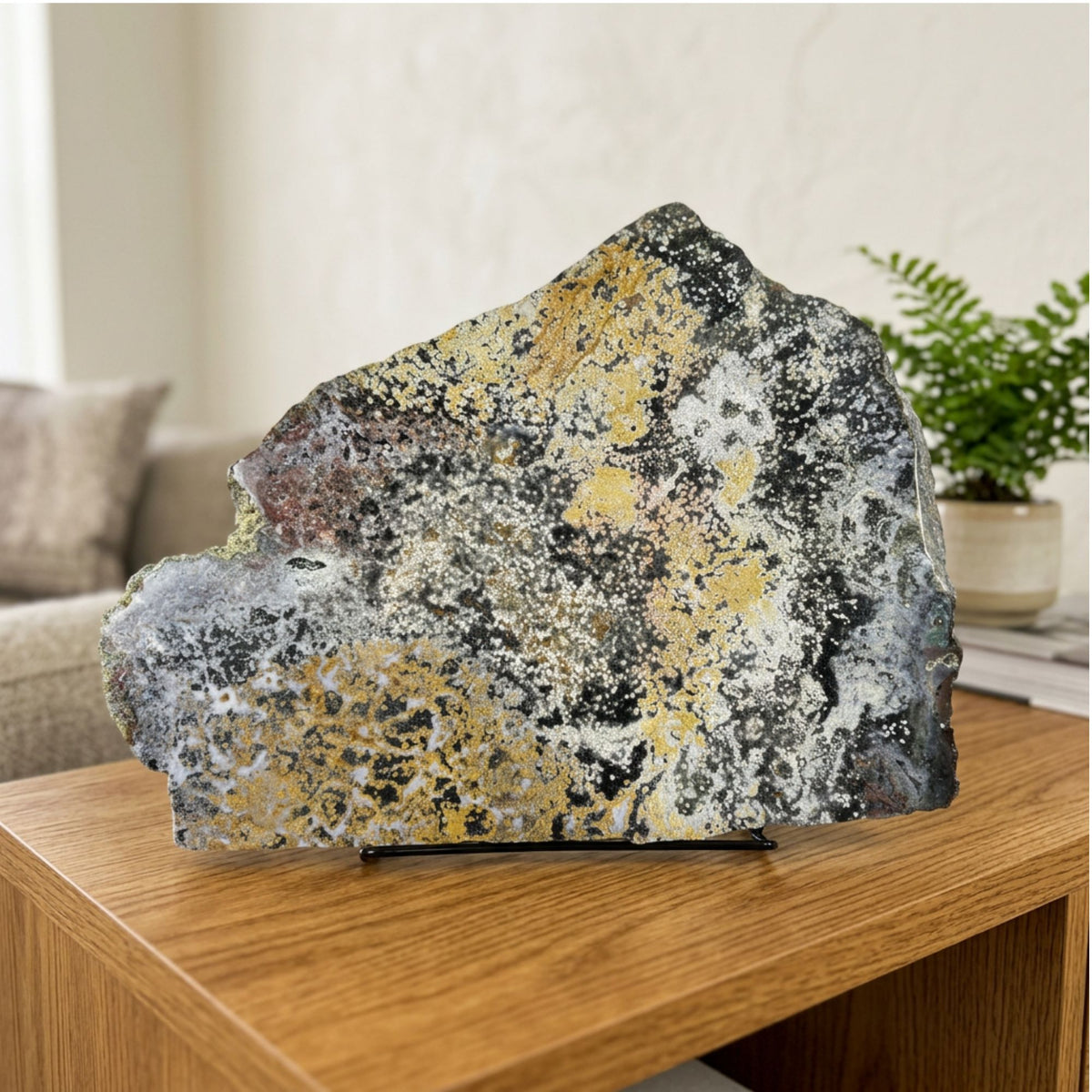 Natural Sea Jasper Crystal Slab 8.5" Polished Ocean Jasper Gemstone Slice Home Decor Collector Display