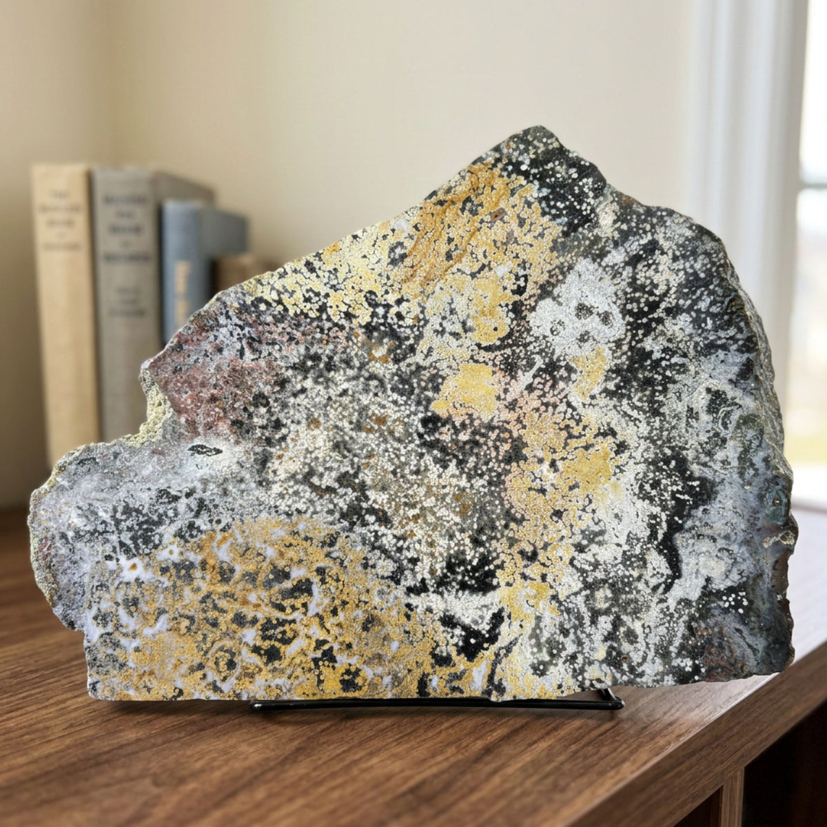 Natural Sea Jasper Crystal Slab 8.5" Polished Ocean Jasper Gemstone Slice Home Decor Collector Display