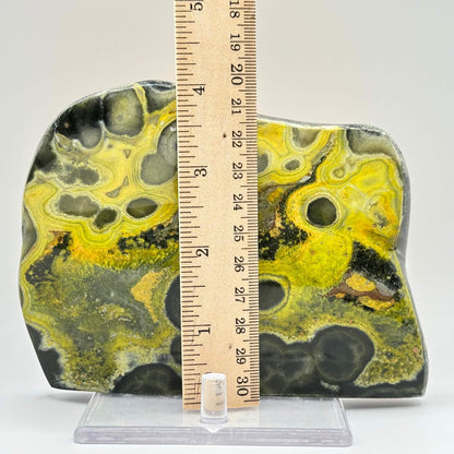 Bumble Bee Jasper Slab - RSL064
