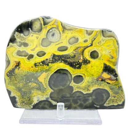 Bumble Bee Jasper Slab - RSL064