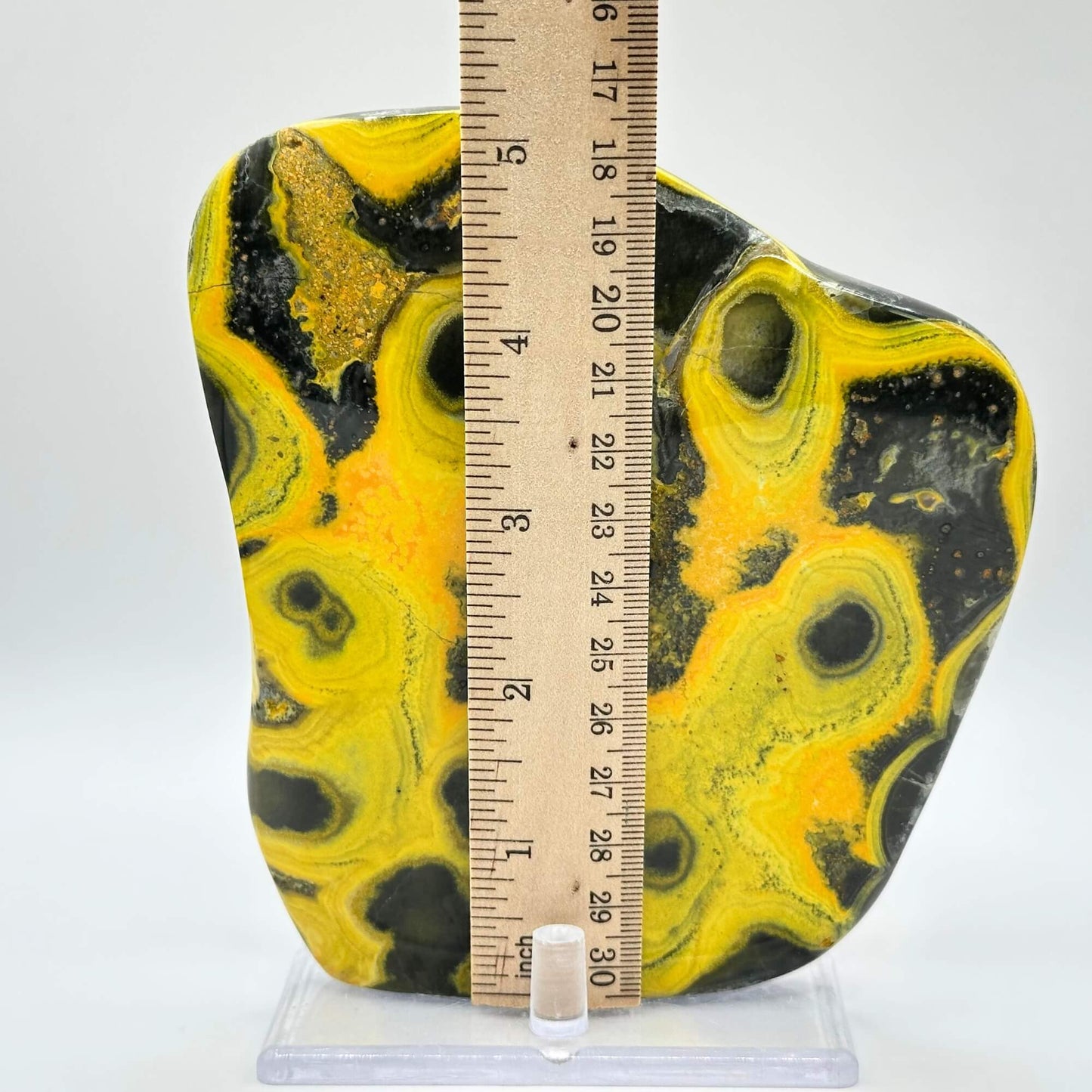 Bumble Bee Jasper Slab - RSL065
