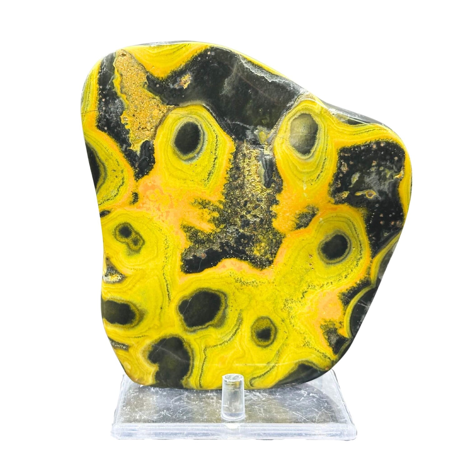 Bumble Bee Jasper Slab - RSL065