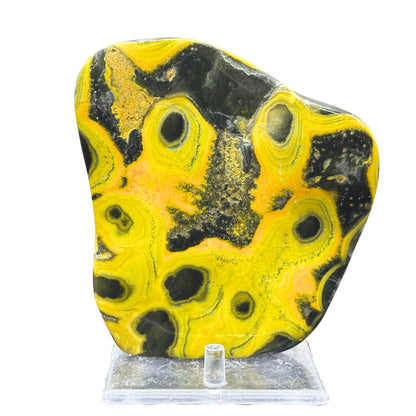 Bumble Bee Jasper Slab - RSL065