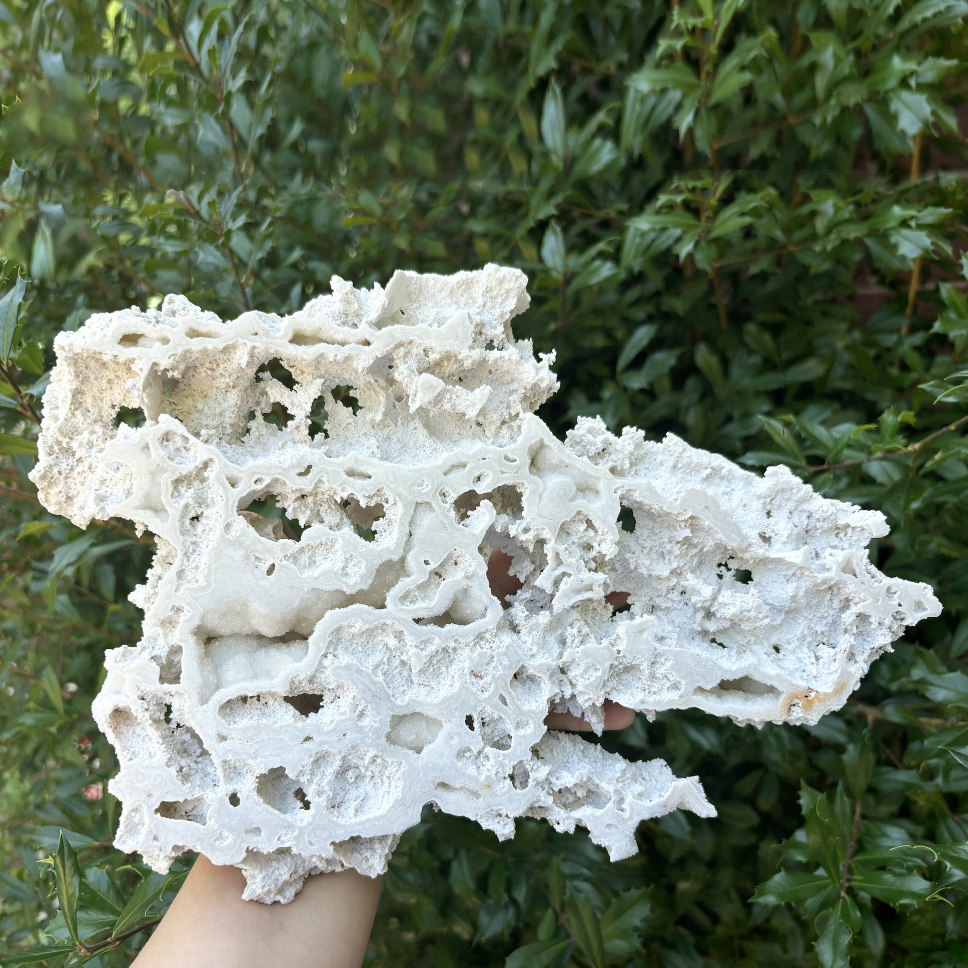 Natural Sphalerite Crystal Slab - Gem Avenue Retail