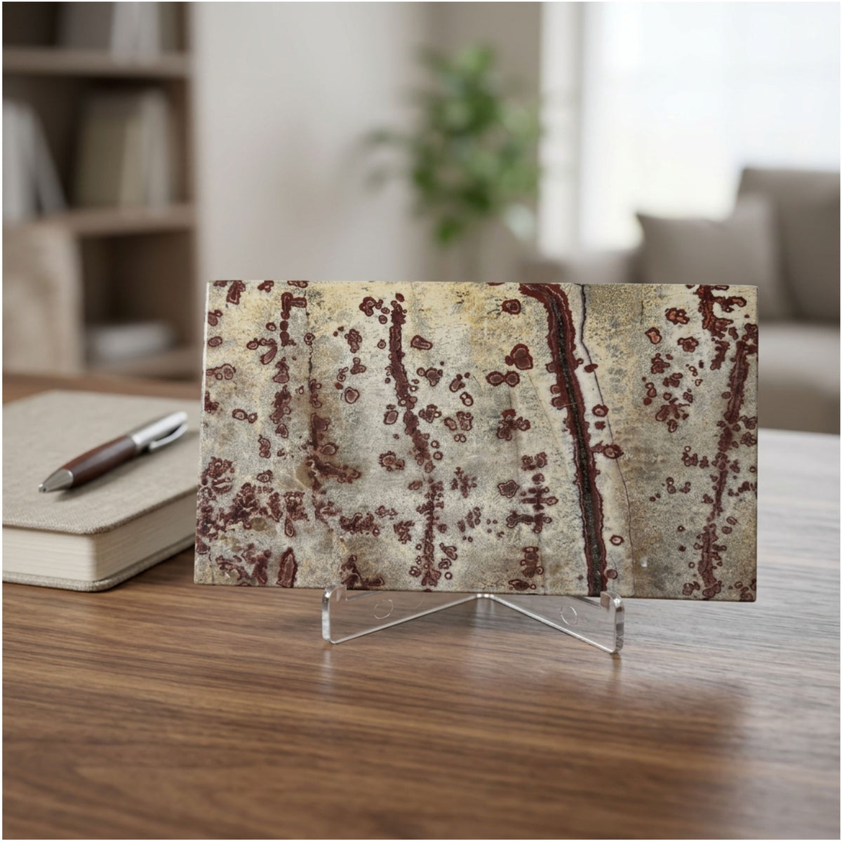 Natural Polished Picture Jasper Slab - Gem Avenue Retail
